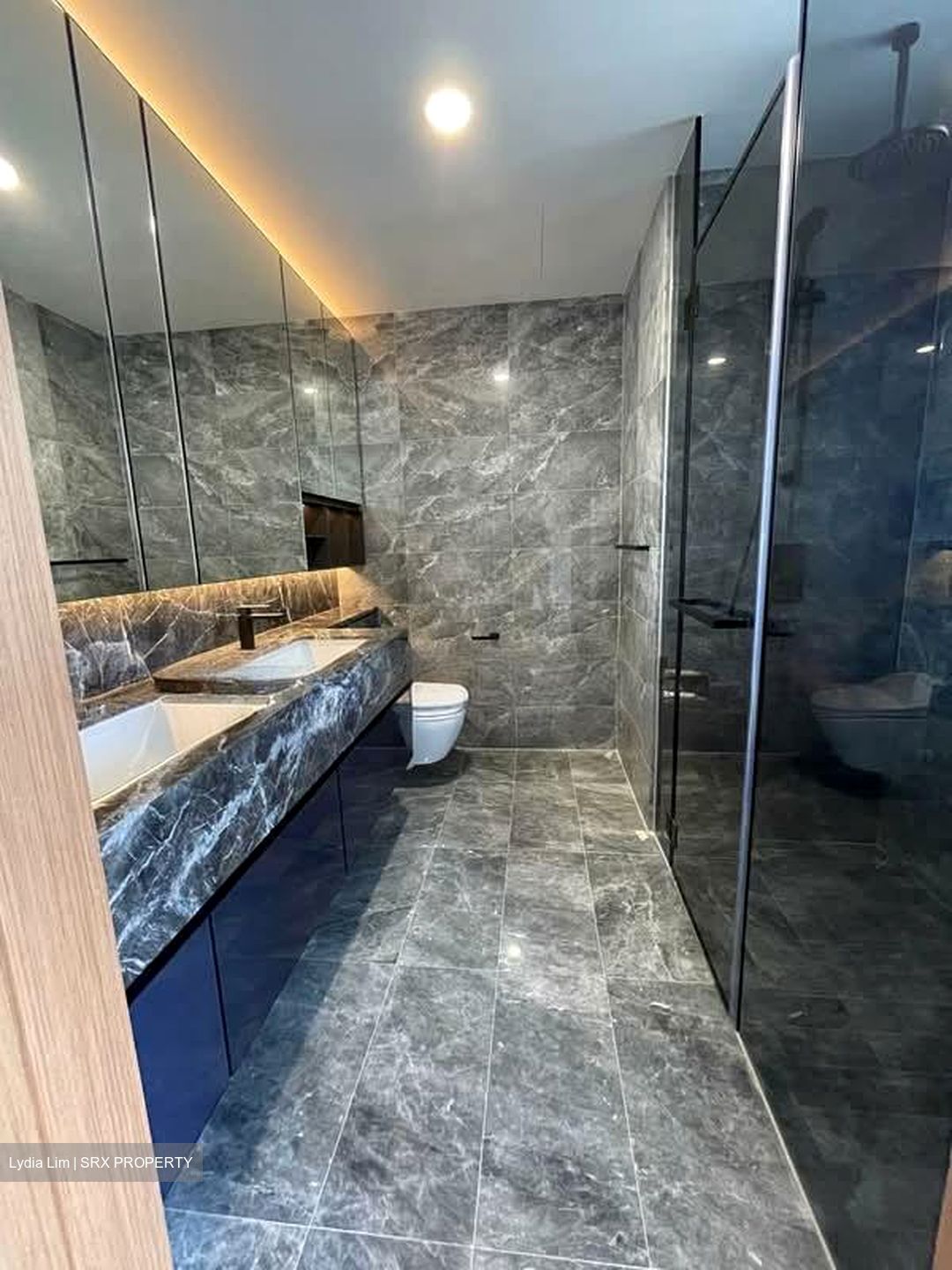 The Atelier (D9), Apartment #556545691